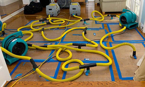 Professional Crawl Space Water Removal technician working in Eldridge, IA